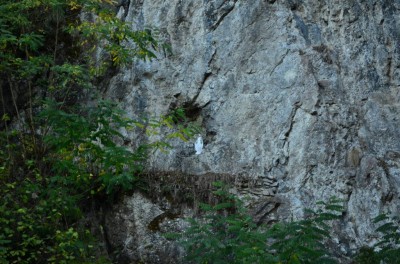 Figura NMP w skalnej ścianie